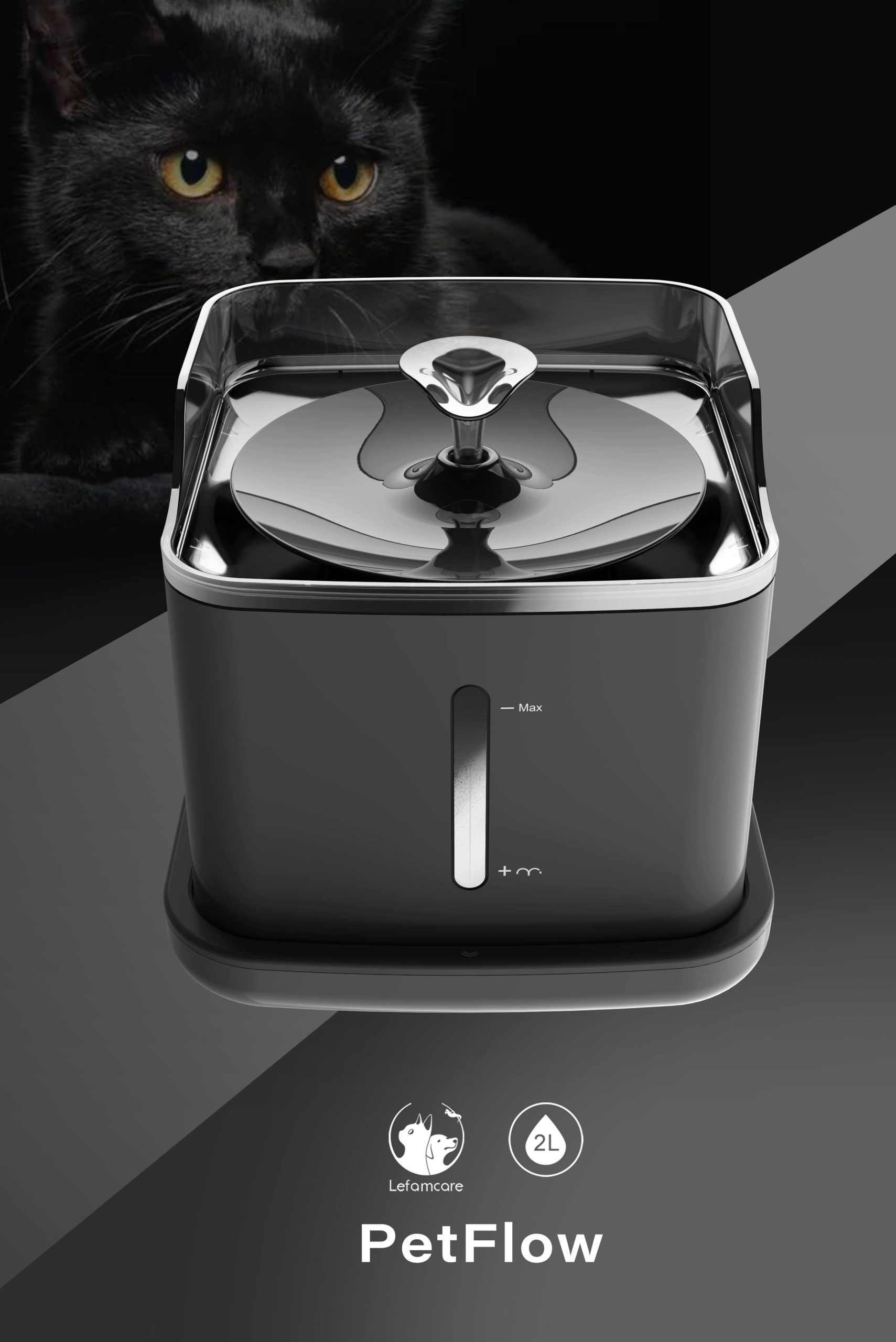 cat water dispenser
