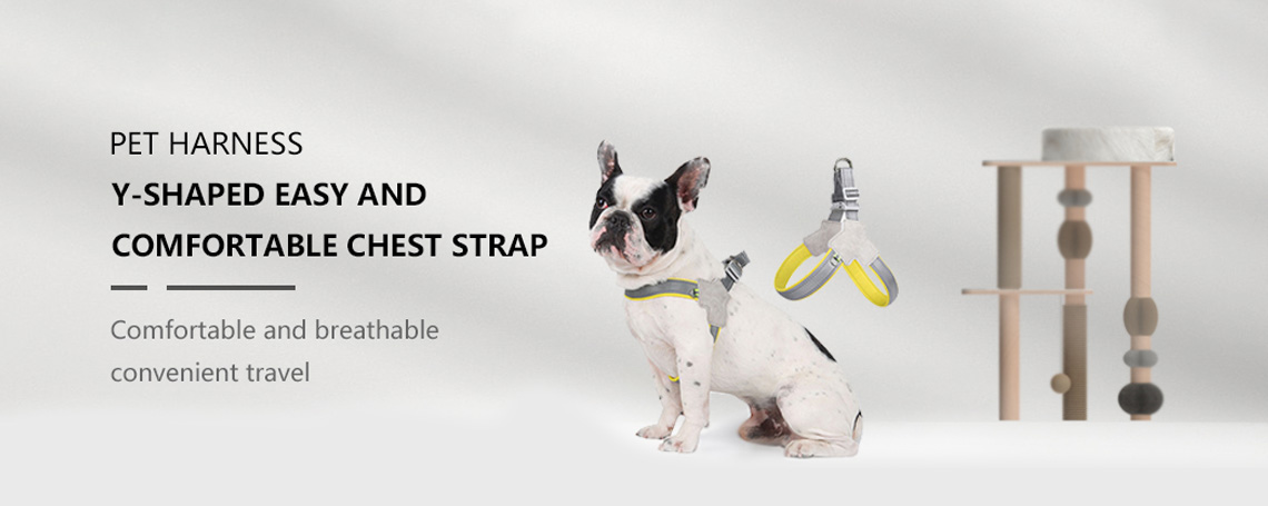 Dog Harness