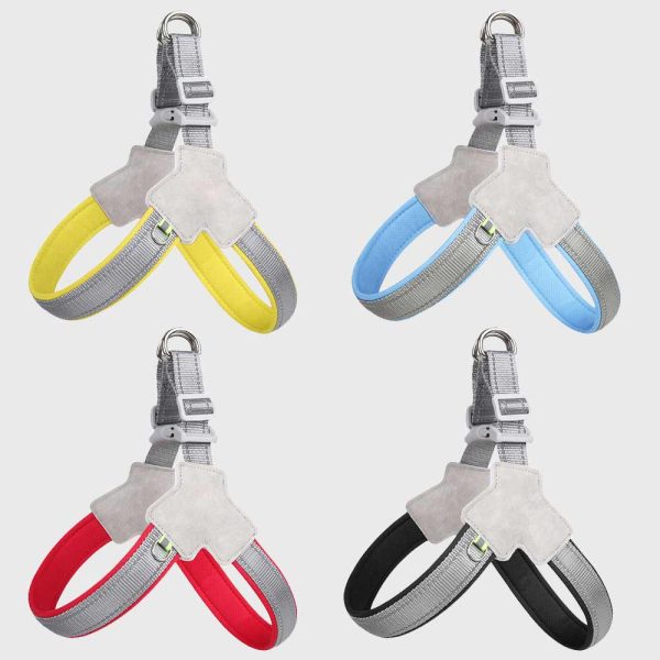 Dog Harness