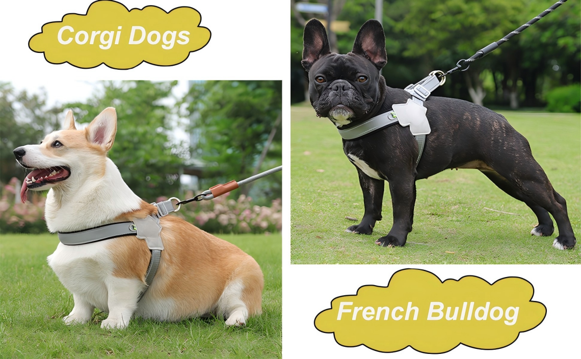 Dog Harness
