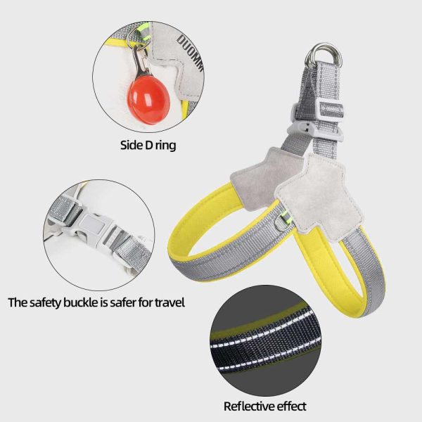 Dog Harness