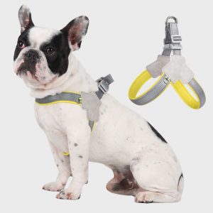 Dog Harness