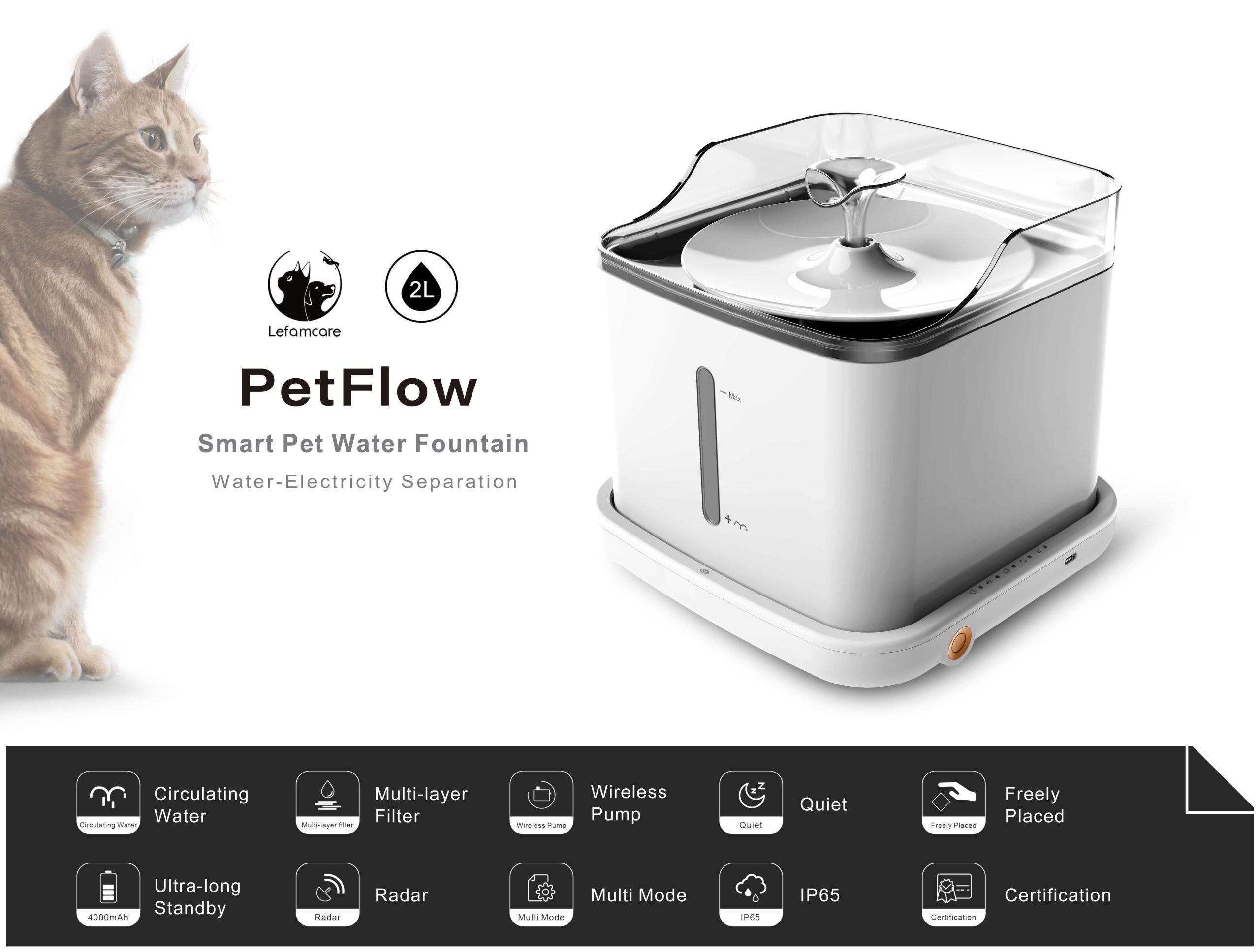 Water fountain