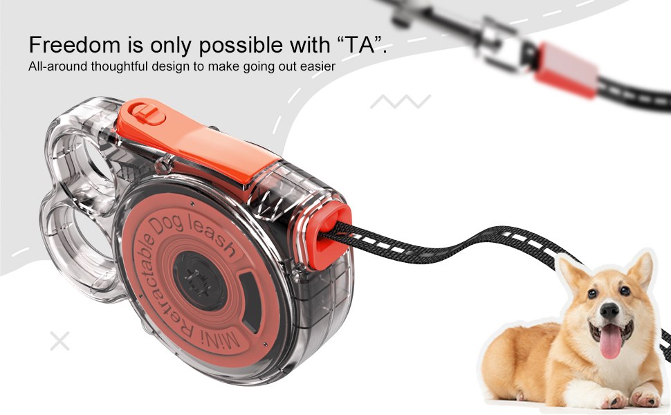 Mini Retractable Dog Leash