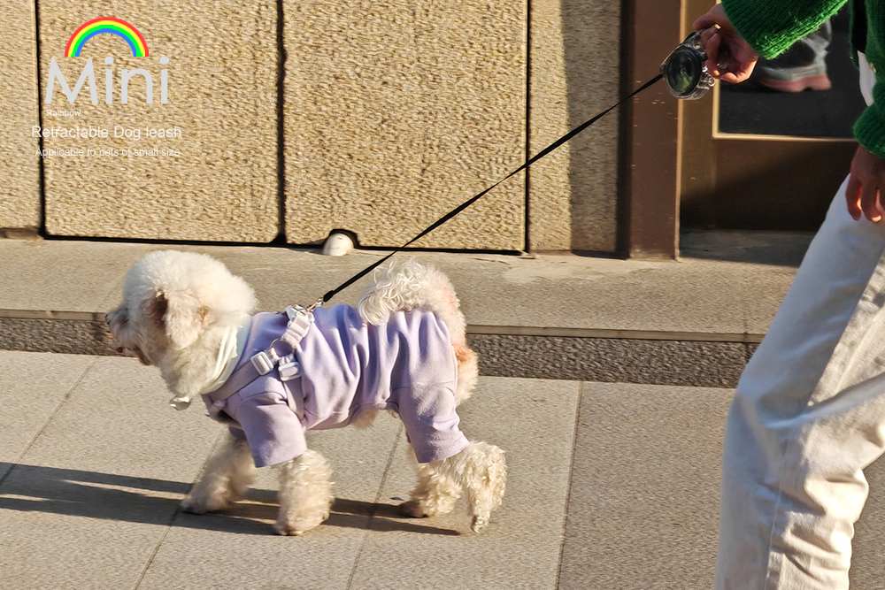Mini Retractable Dog Leash