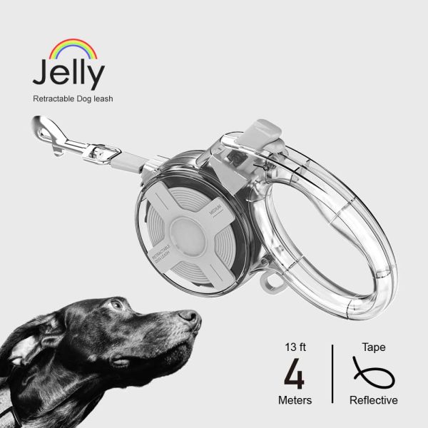 retractable dog lead