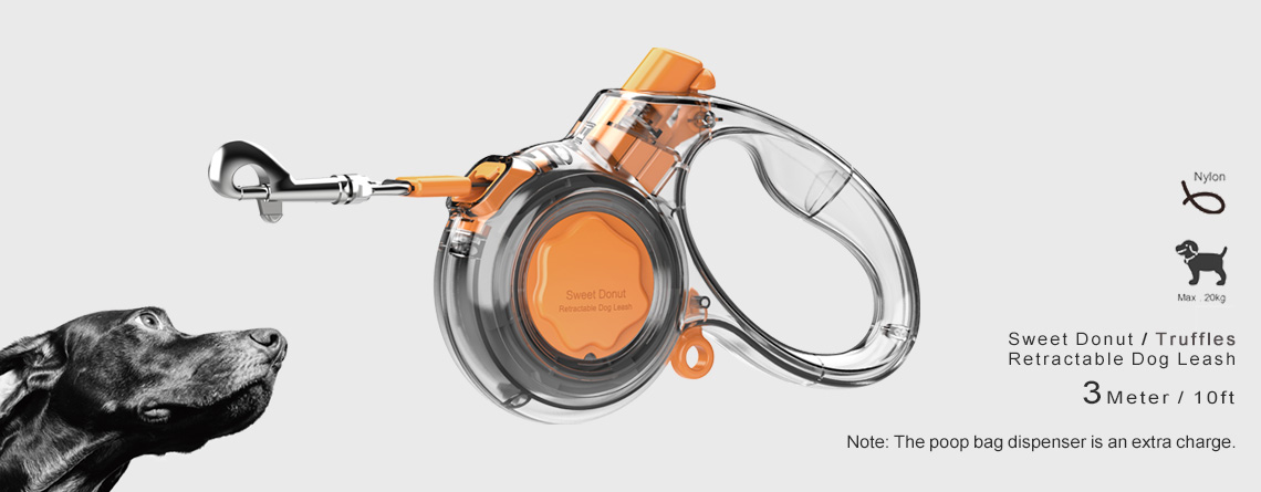 retractable lead
