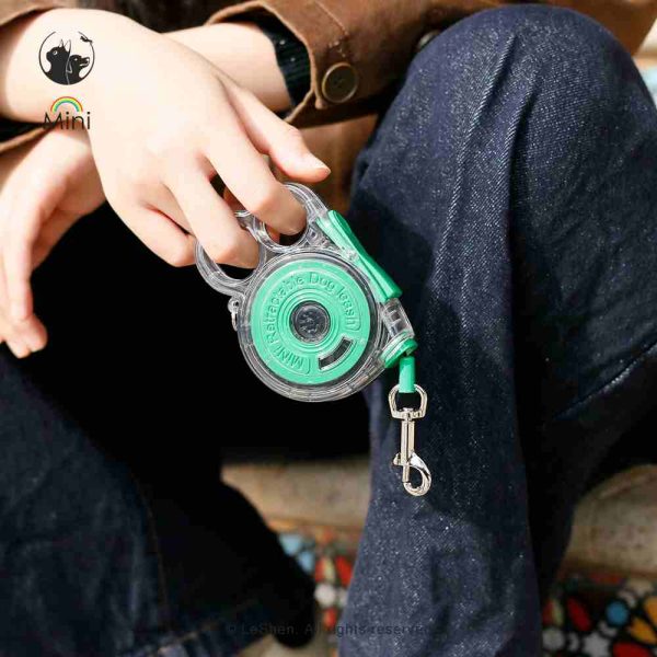 Mini Retractable Dog Leash
