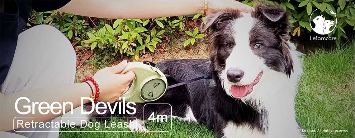 Automatic Retractable Dogs Walking Lead