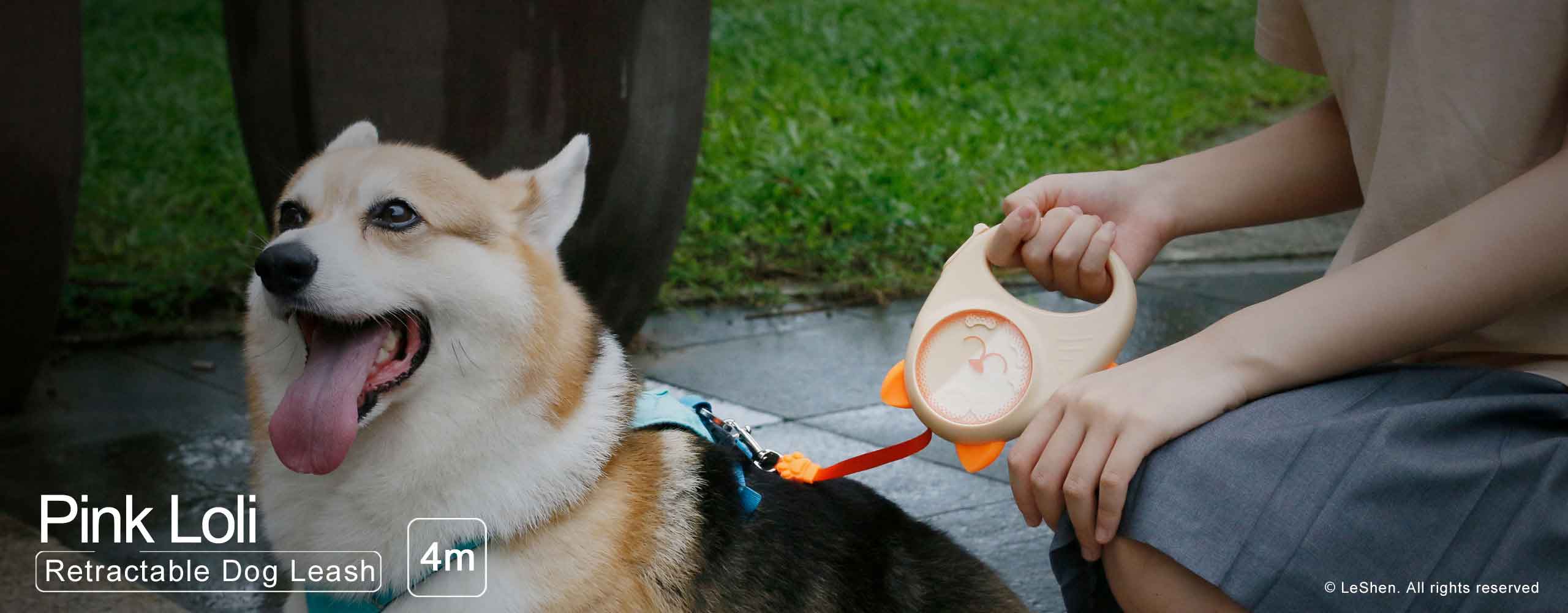 Cartoon retractable dog leash02