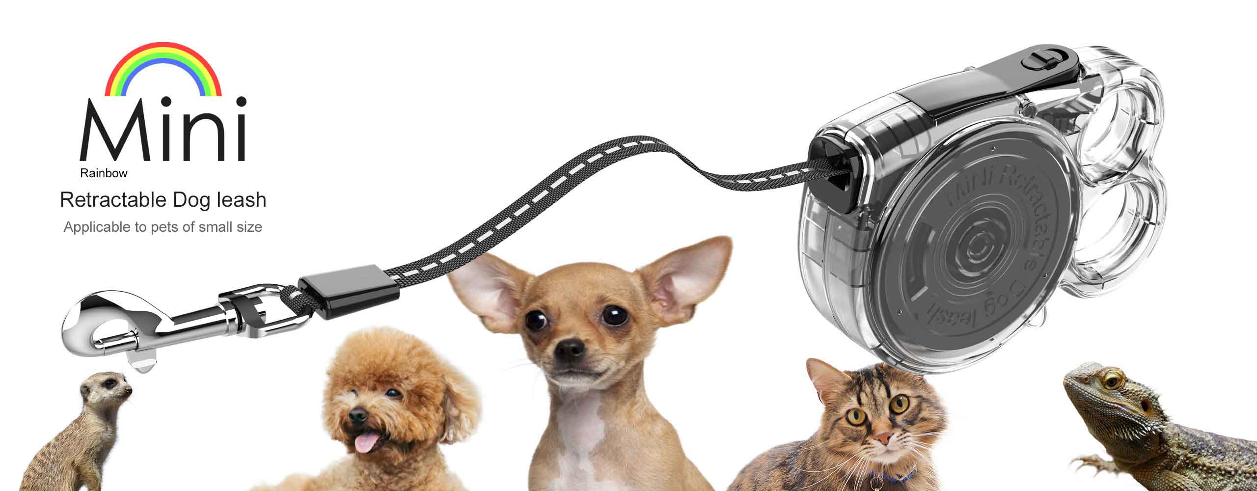 Mini retractable dog leash