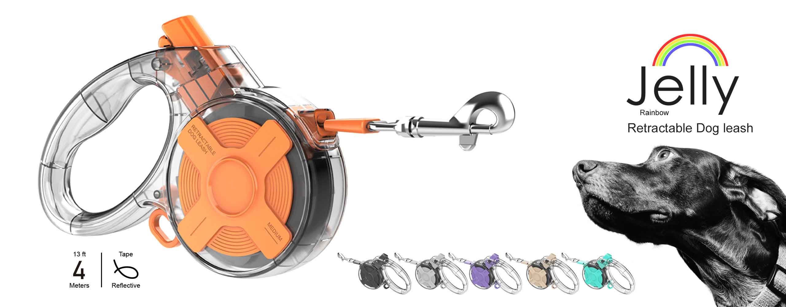 Retractable dog leash